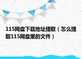 115網(wǎng)盤下載地址提取（怎么提取115網(wǎng)盤里的文件）