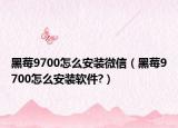 黑莓9700怎么安裝微信（黑莓9700怎么安裝軟件?）