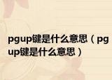 pgup鍵是什么意思（pgup鍵是什么意思）
