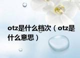 otz是什么檔次（otz是什么意思）