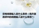 音響線路輸入是什么意思（揚(yáng)聲器選項(xiàng)中的線路輸入是什么意思?）