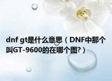dnf gt是什么意思（DNF中那個(gè)叫GT-9600的在哪個(gè)圖?）
