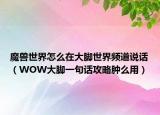 魔獸世界怎么在大腳世界頻道說話（WOW大腳一句話攻略腫么用）