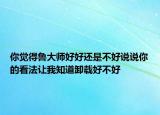 你覺得魯大師好好還是不好說說你的看法讓我知道卸載好不好