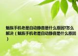 魅族手機(jī)老是自動靜音是什么原因?怎么解決（魅族手機(jī)老是自動靜音是什么原因）
