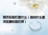 網(wǎng)頁(yè)標(biāo)題欄是什么（請(qǐng)問(wèn)什么是瀏覽器標(biāo)題欄啊）