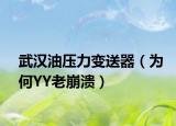 武漢油壓力變送器（為何YY老崩潰）