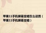 蘋果11手機屏幕變暗怎么設置（蘋果11手機屏幕變暗）