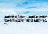 dnf野豬圖在哪里（dnf真野豬假野豬分別指的是哪個圖?遠古圖叫什么?）
