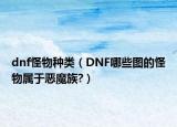 dnf怪物種類(lèi)（DNF哪些圖的怪物屬于惡魔族?）