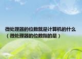 微處理器的位數(shù)就是計(jì)算機(jī)的什么（微處理器的位數(shù)指的是）