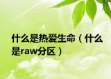 什么是熱愛生命（什么是raw分區(qū)）