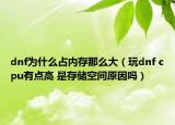 dnf為什么占內(nèi)存那么大（玩dnf cpu有點(diǎn)高 是存儲(chǔ)空間原因嗎）