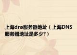 上海dns服務(wù)器地址（上海DNS服務(wù)器地址是多少?）