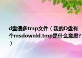 d盤很多tmp文件（我的D盤有個msdownld.tmp是什么意思?）