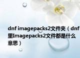 dnf imagepacks2文件夾（dnf里Imagepacks2文件都是什么意思）