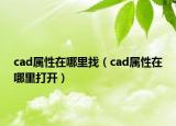cad屬性在哪里找（cad屬性在哪里打開）