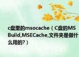 c盤里的msocache（C盤的MSBuild,MSECache,文件夾是做什么用的?）