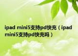 ipad mini5支持pd快充（ipad mini5支持pd快充嗎）
