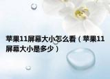 蘋果11屏幕大小怎么看（蘋果11屏幕大小是多少）