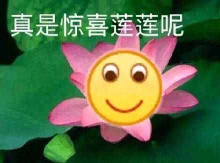 綠茶or白蓮花！你更討厭哪一種？
