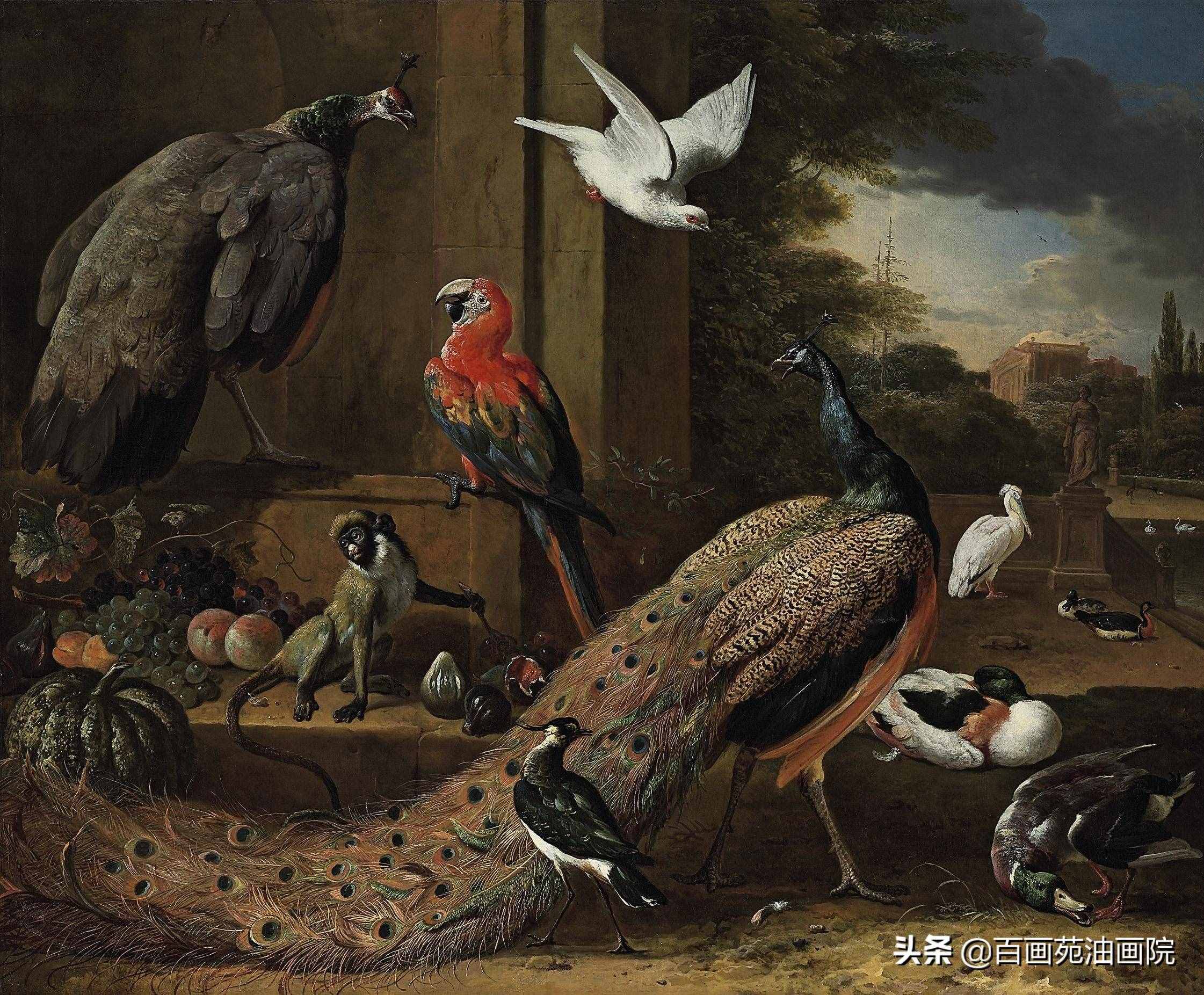 油畫(huà)動(dòng)物欣賞——Melchior·d'Hondecoeter