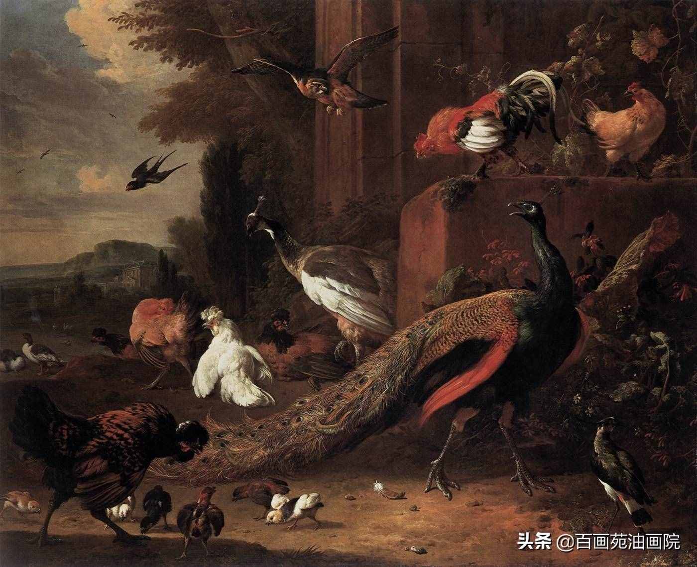 油畫(huà)動(dòng)物欣賞——Melchior·d'Hondecoeter