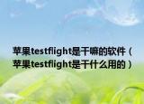 蘋果testflight是干嘛的軟件（蘋果testflight是干什么用的）