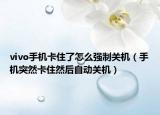 vivo手機卡住了怎么強制關機（手機突然卡住然后自動關機）