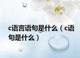 c語(yǔ)言語(yǔ)句是什么（c語(yǔ)句是什么）