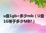 u盤(pán)1gb=多少mb（U盤(pán)1G等于多少M(fèi)B?）