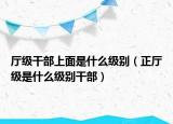 廳級(jí)干部上面是什么級(jí)別（正廳級(jí)是什么級(jí)別干部）