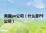 美國pe公司（什么是PE公司）
