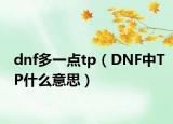 dnf多一點tp（DNF中TP什么意思）