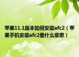 蘋果11.1版本如何安裝afc2（蘋果手機(jī)安裝afc2是什么意思）
