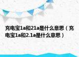 充電寶1a和21a是什么意思（充電寶1a和2.1a是什么意思）