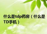 什么是tdp藥房（什么是TD手機(jī)）