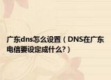 廣東dns怎么設(shè)置（DNS在廣東電信要設(shè)定成什么?）