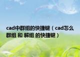cad中群組的快捷鍵（cad怎么群組 和 解組 的快捷鍵）