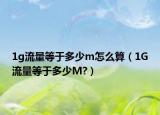1g流量等于多少m怎么算（1G流量等于多少M(fèi)?）