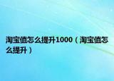 淘寶值怎么提升1000（淘寶值怎么提升）