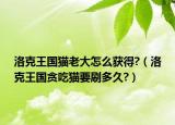 洛克王國貓老大怎么獲得?（洛克王國貪吃貓要刷多久?）
