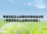 蘋果手機怎么設置動態(tài)壁紙全過程（蘋果手機怎么設置動態(tài)壁紙）