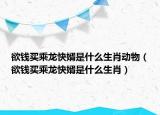 欲錢買乘龍快婿是什么生肖動物（欲錢買乘龍快婿是什么生肖）