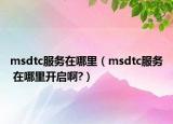 msdtc服務(wù)在哪里（msdtc服務(wù) 在哪里開啟啊?）