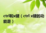 ctrl和x鍵（ctrl x鍵的功能是）