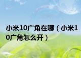 小米10廣角在哪（小米10廣角怎么開）