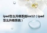 ipad怎么升級系統(tǒng)ios12（ipad怎么升級系統(tǒng)）