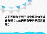 人的天職在于勇于探索真理句子成分分析（人的天職在于勇于探索真理）