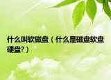 什么叫軟磁盤（什么是磁盤軟盤硬盤?）